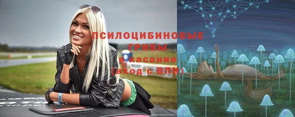 Альфа ПВП Арсеньев