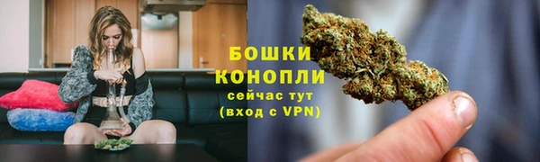 гидра Зеленокумск