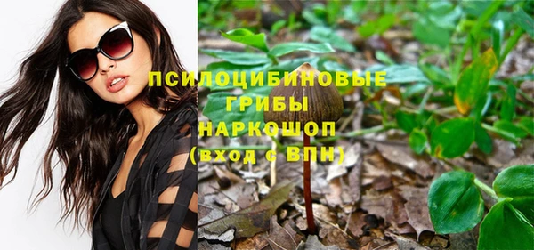 Альфа ПВП Аркадак