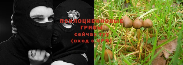 ешки Зеленодольск